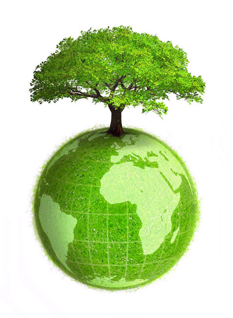 曝氣池污泥，污泥老化，判斷和解決污泥老化