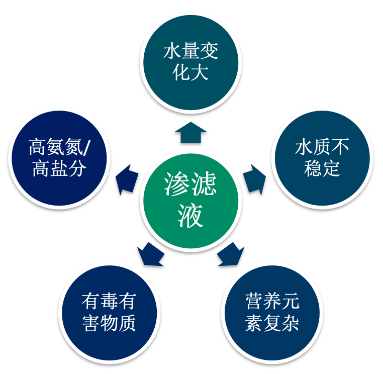 污水處理，垃圾滲濾液，高氨氮