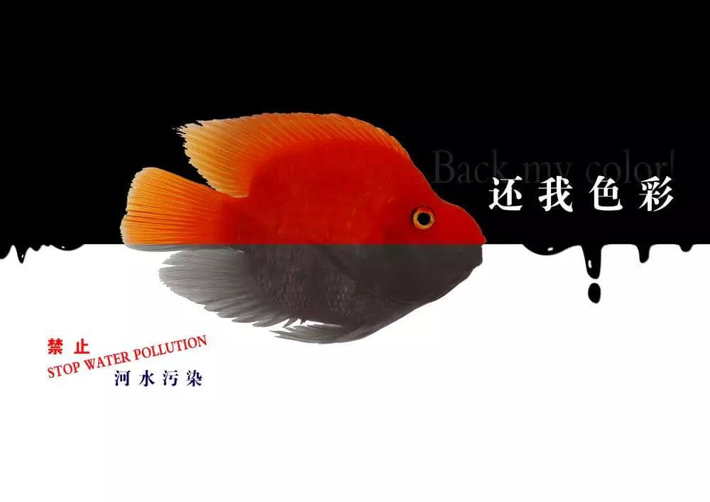 污水處理藥劑，污水處理，水處理